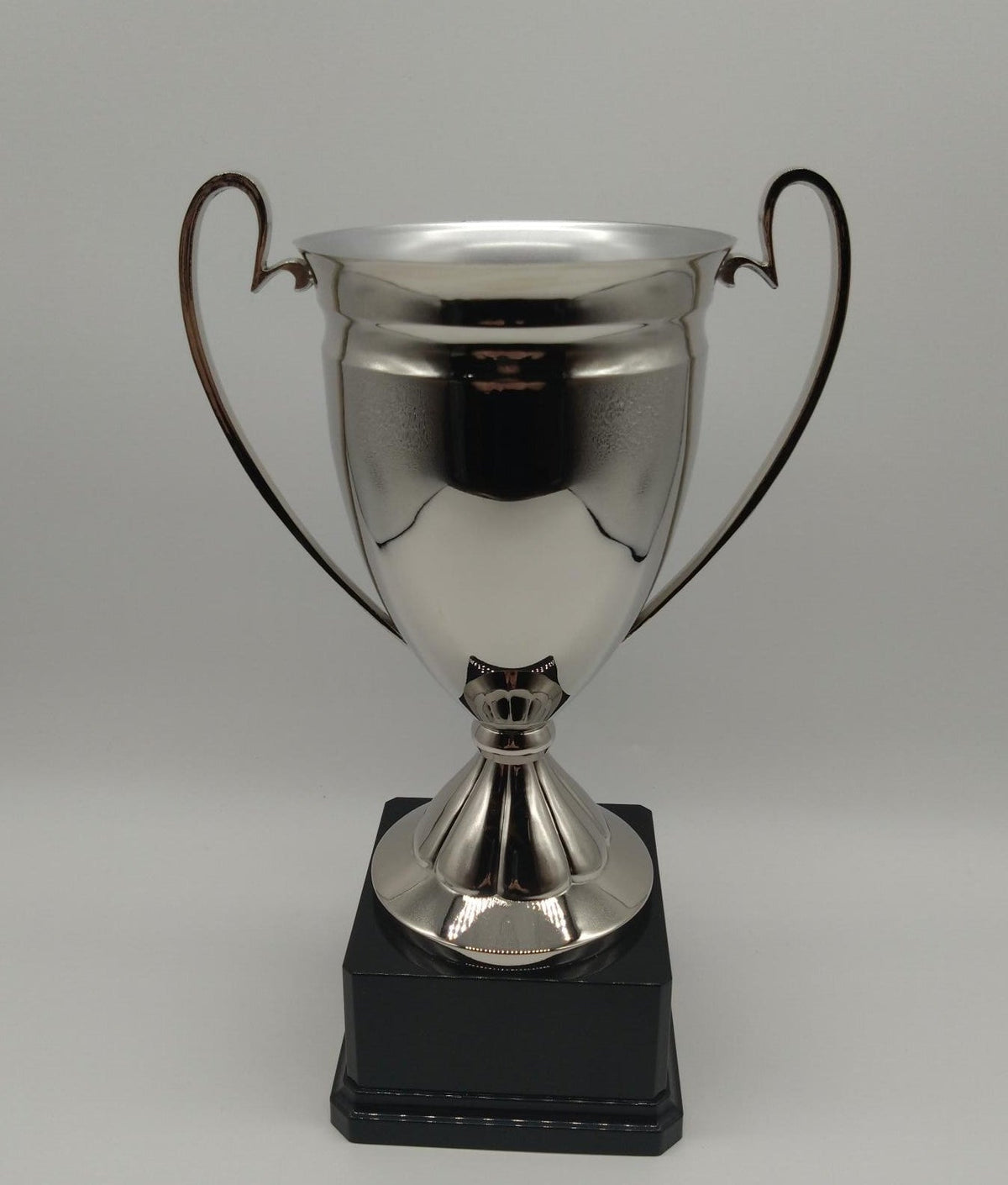 Silver trophy with a black base on a light gray background