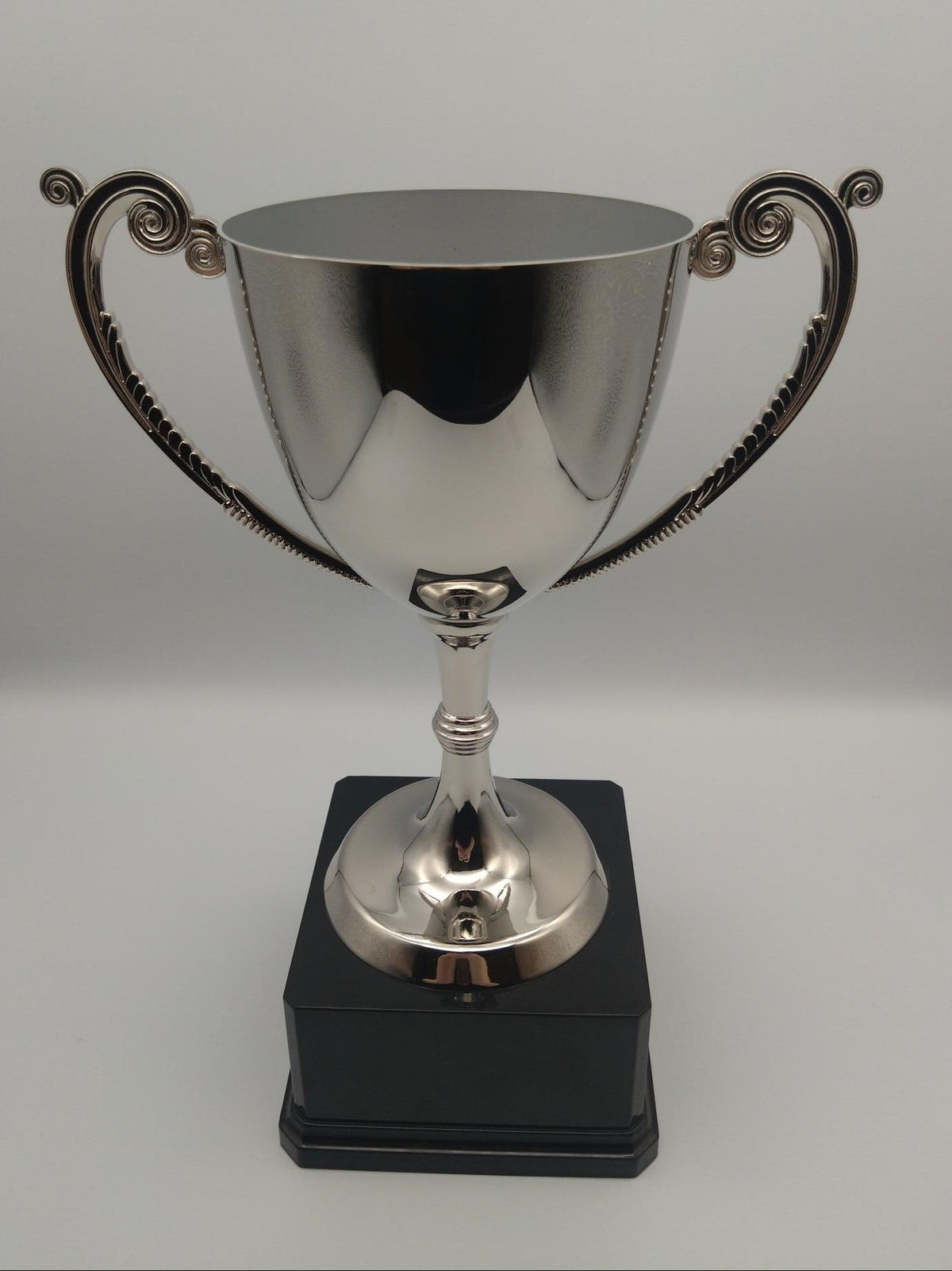 Silver trophy with black base on a gray background