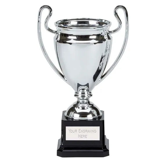 European cup style trophy on black base