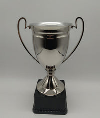 Silver trophy with a black base on a light gray background