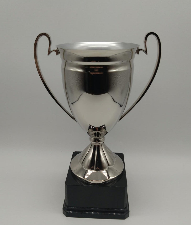 Silver trophy with a black base on a light gray background