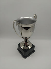 Silver trophy with a black base on a gray background