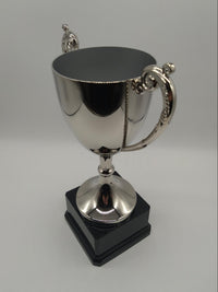 Silver trophy with a black base on a gray background