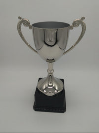 Silver trophy on a gray background