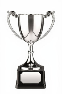Silver trophy cup with black base on a white background