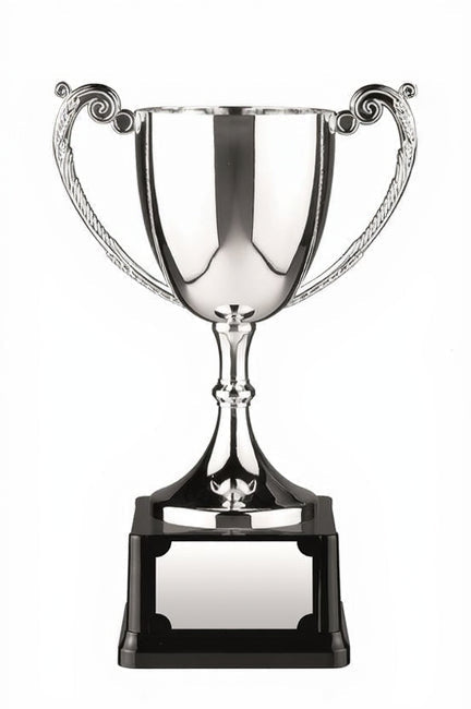 Silver trophy cup with black base on a white background