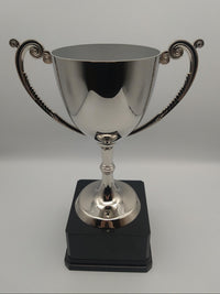 Silver trophy with black base on a gray background
