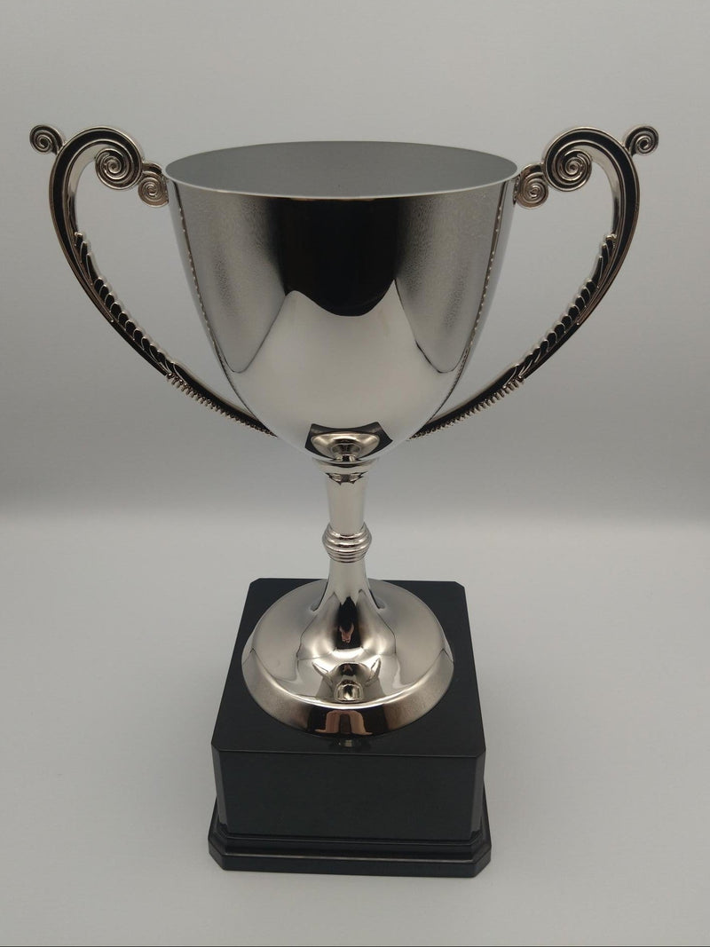 Silver trophy with black base on a gray background