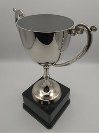 Silver trophy with a black base on a light gray background