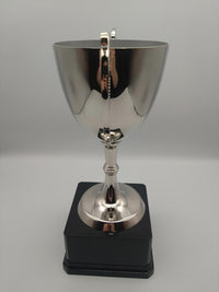 Silver trophy with a black base on a gray background