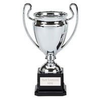 European cup style trophy on black base