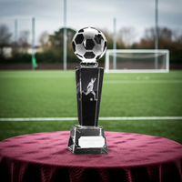 Glass football trophy on cloth covered table with football pitch in the background.